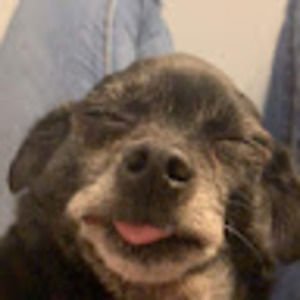 Meet your Posher, Garner